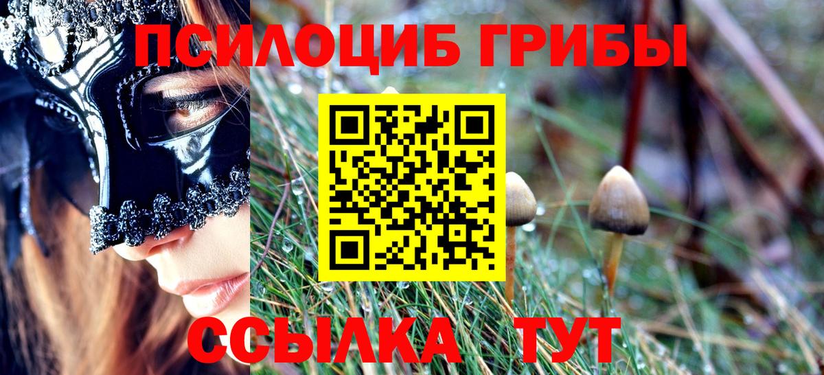 Галлюциногенные грибы прущие грибы Великий Новгород